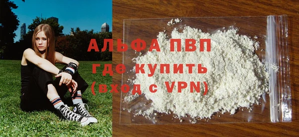 ешки Белокуриха