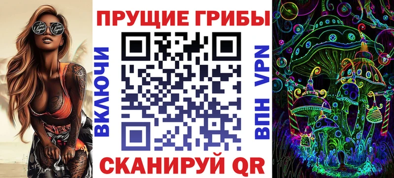 KRAKEN зеркало  Дзержинск  Галлюциногенные грибы Cubensis 